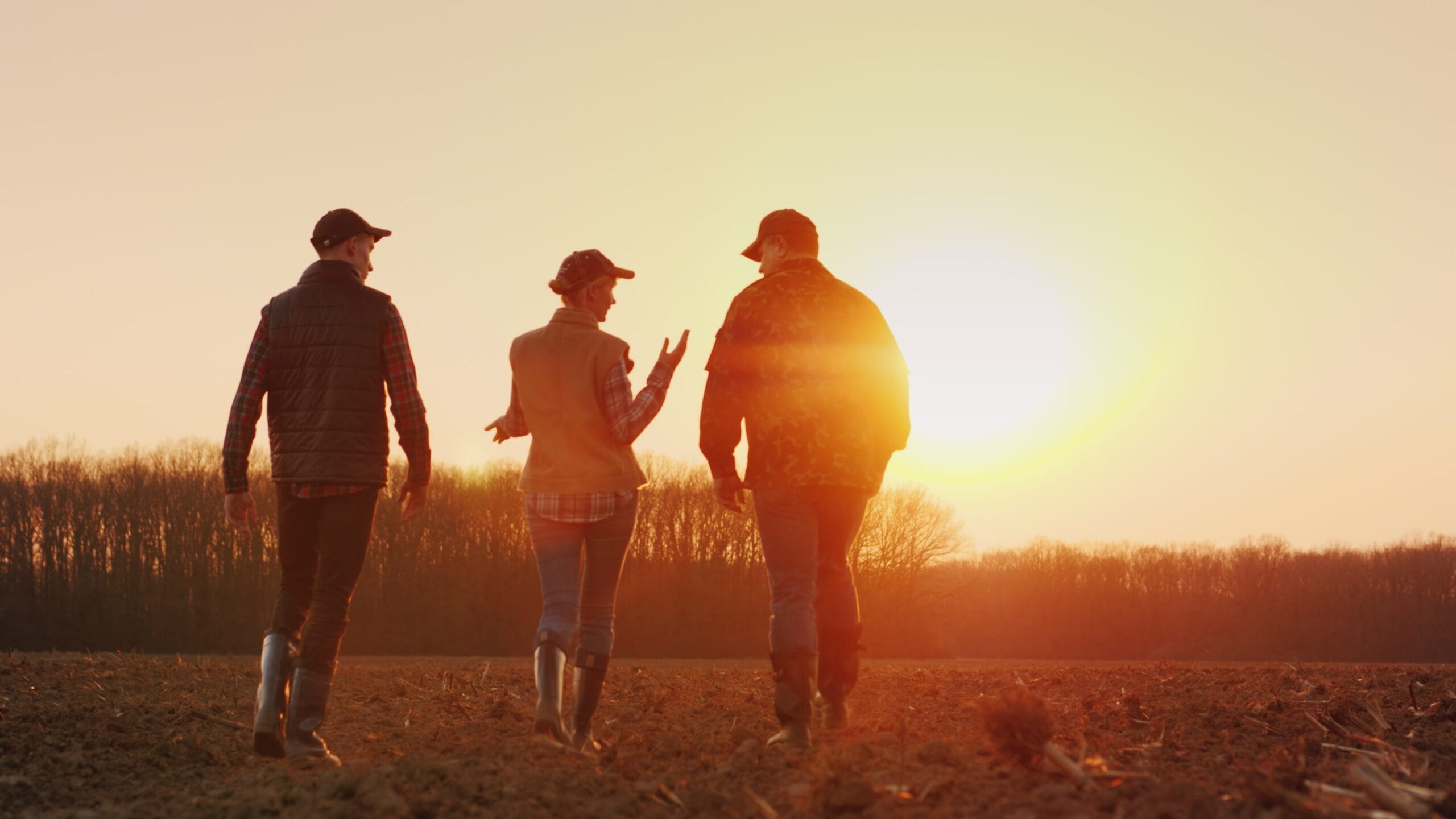 Three farmers go ahead on a plowed field at sunset. Young team of farmers